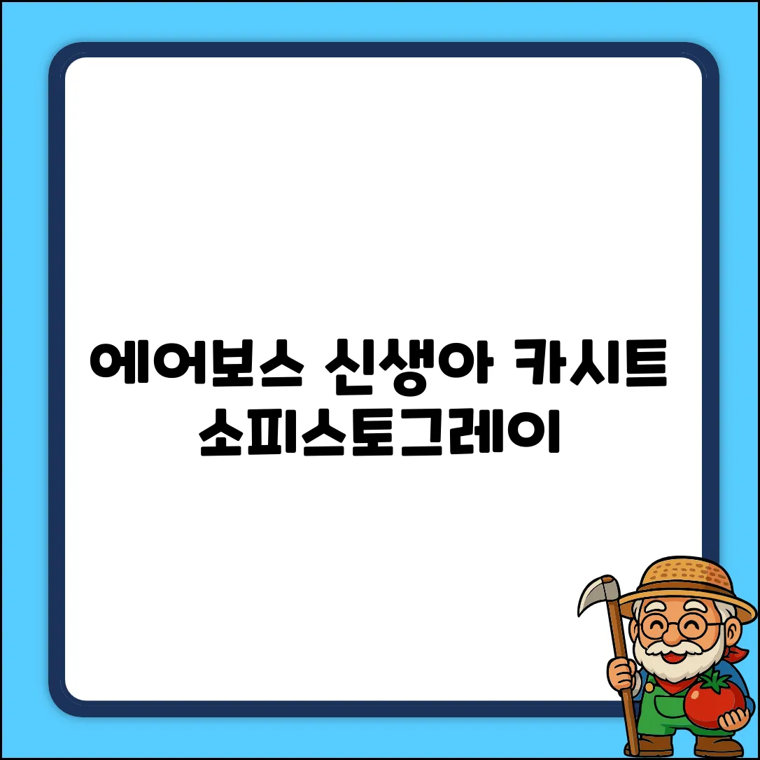 에어보스 신생아 다기능 인펜트 바구니 카시트 일체형, 소피스토그레이 추천 리뷰