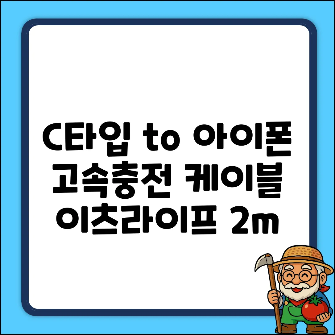 이츠라이프 C타입 to 라이트닝 8핀 아이폰 고속충전케이블, 화이트, 2m, 1개 추천 리뷰