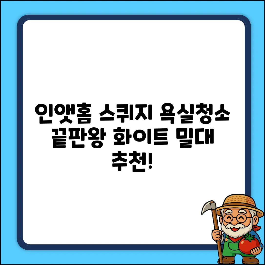 인앳홈 욕실청소 스퀴지 밀대, 1개, 화이트 추천 리뷰