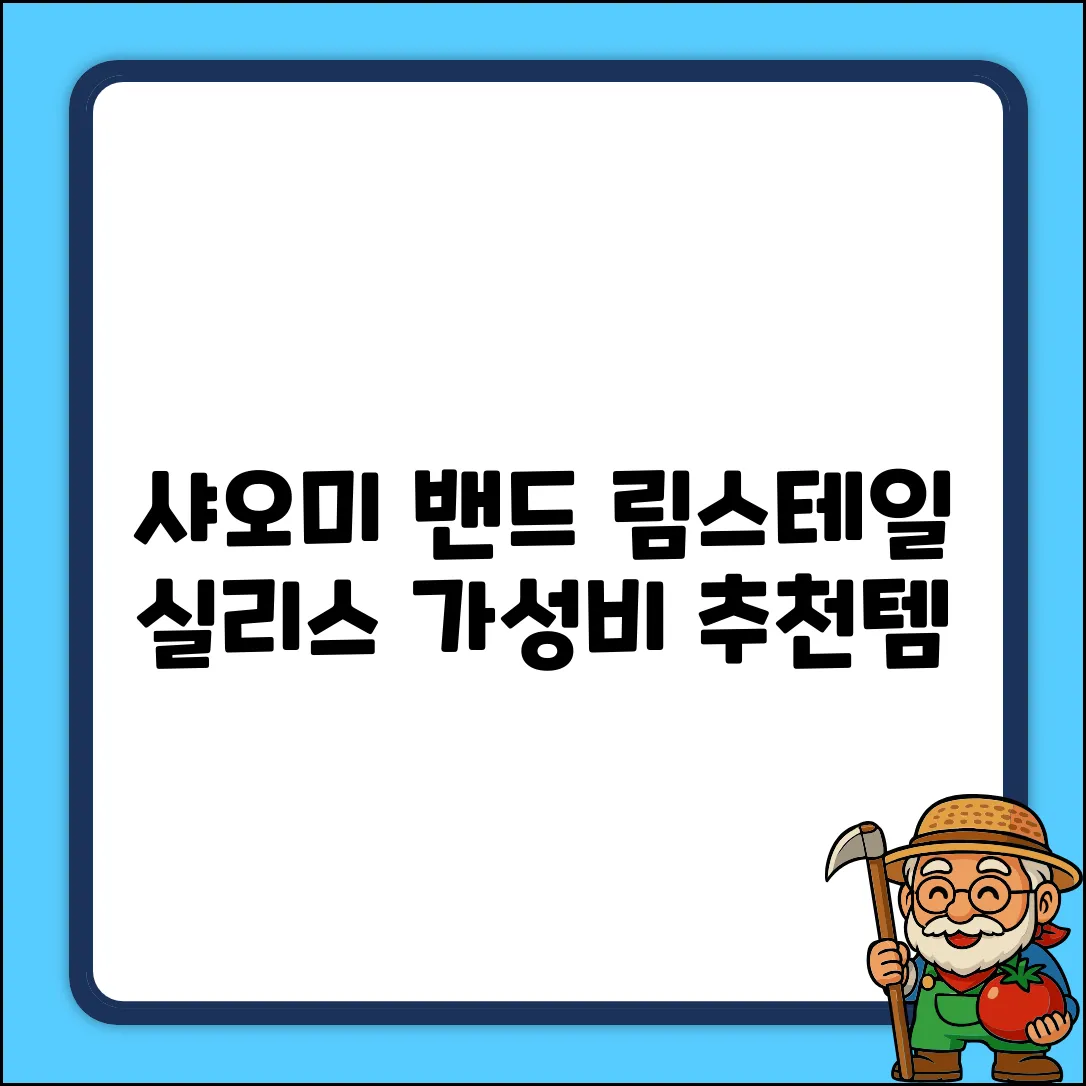 림스테일 샤오미 실리스 스트랩 밴드, 블랙, 1개 추천 리뷰