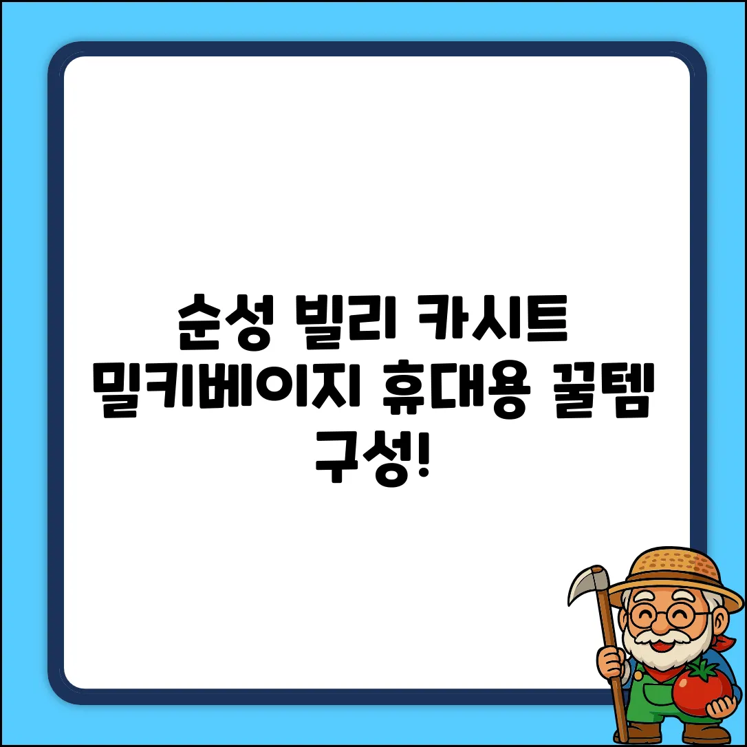 순성 빌리 휴대용 카시트 + 목베개 + 전용백, 밀키베이지 추천 리뷰