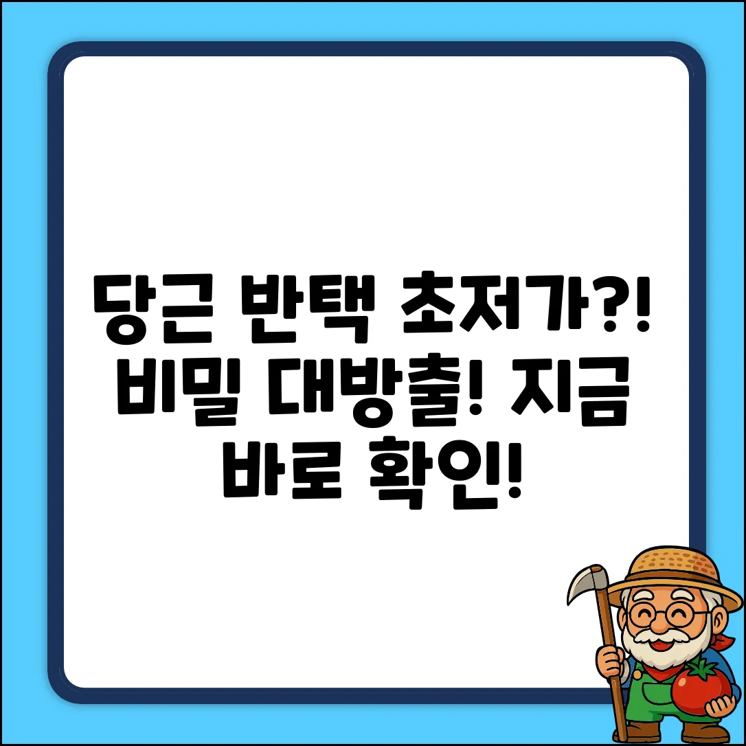 당근 반값택배? 초저가 비밀!