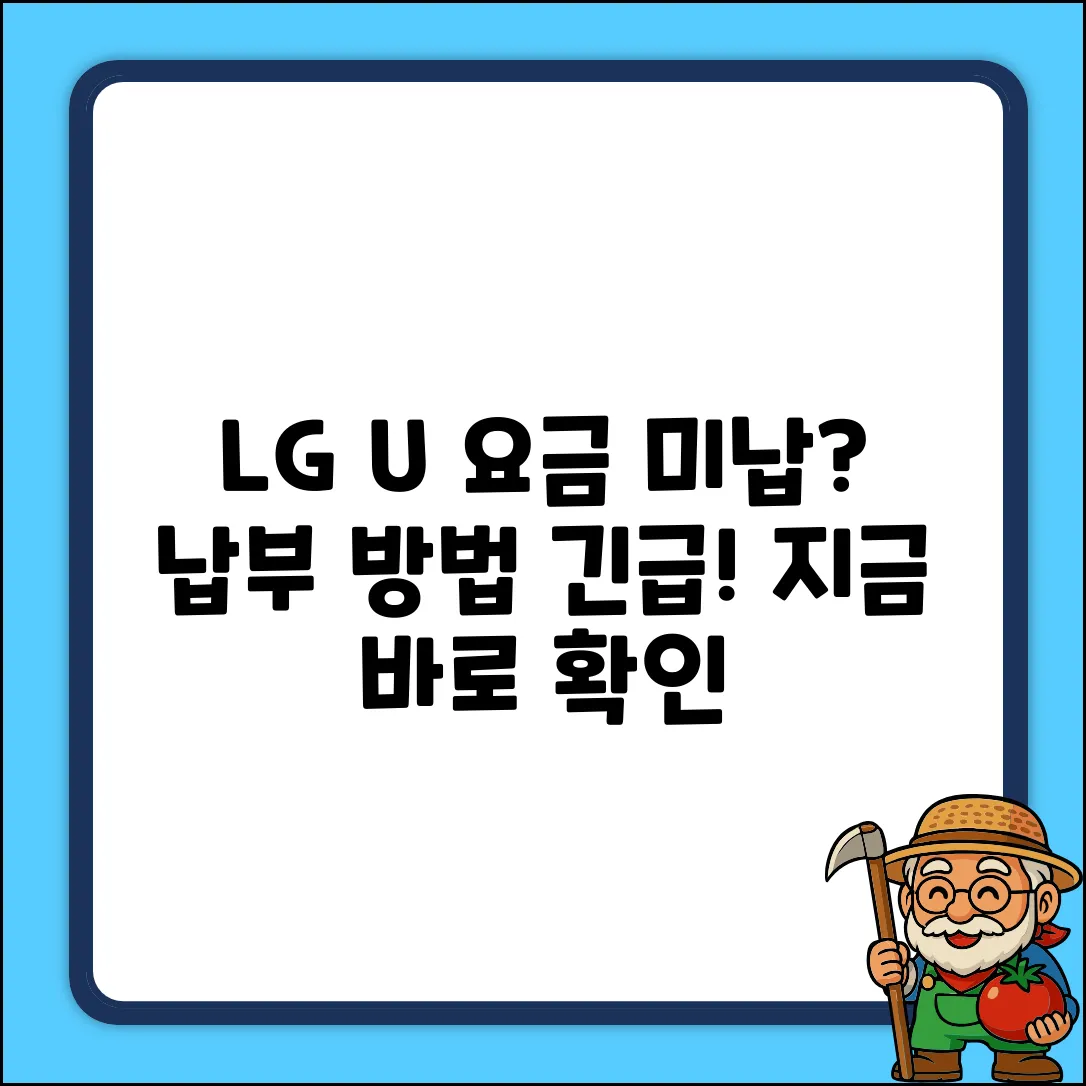 LGU+ 미납 요금, 납부 방법 궁금하세요?