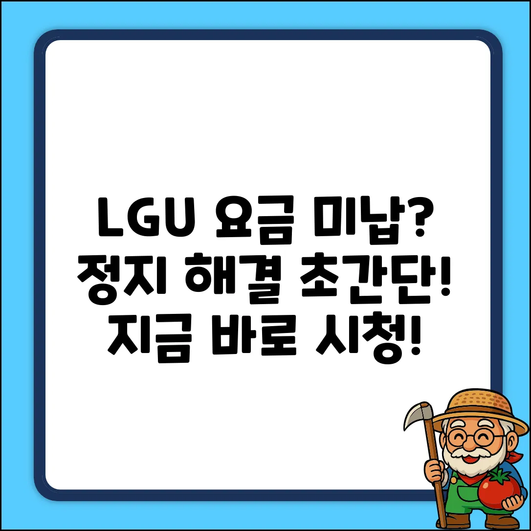 LGU+ 요금 미납 정지? 초보도 쉽게 해결!