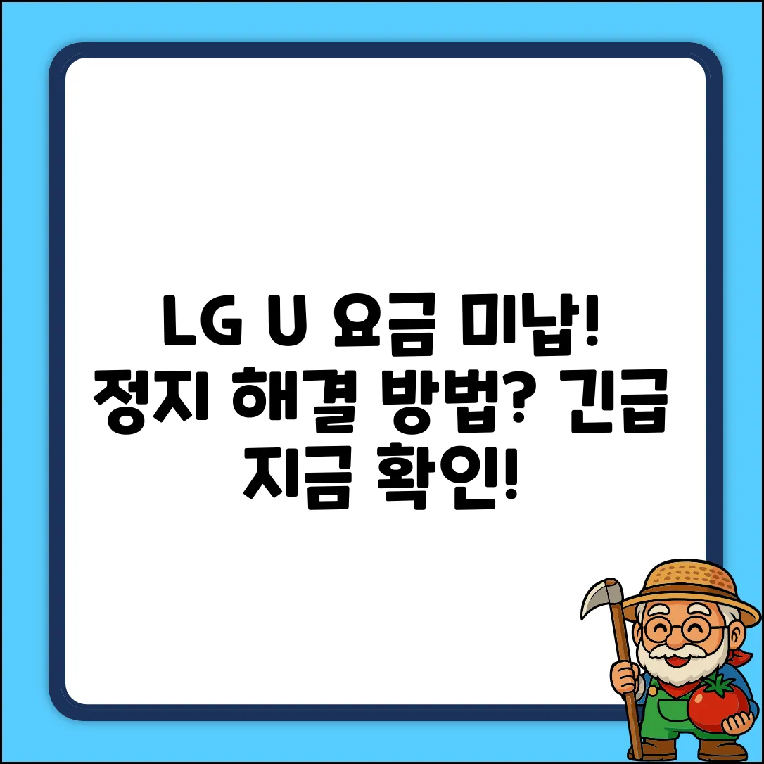 LGU+ 요금 미납 정지, 해결책은 없을까?