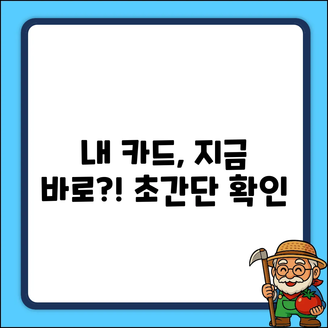 내 카드, 언제부터 사용 가능?! 초간단 확인법