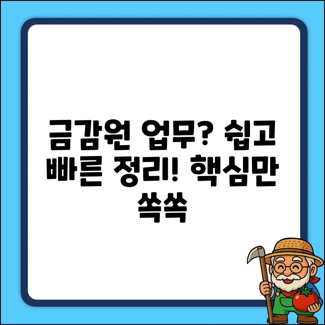 쉽게 알려주는 금융감독원 업무!