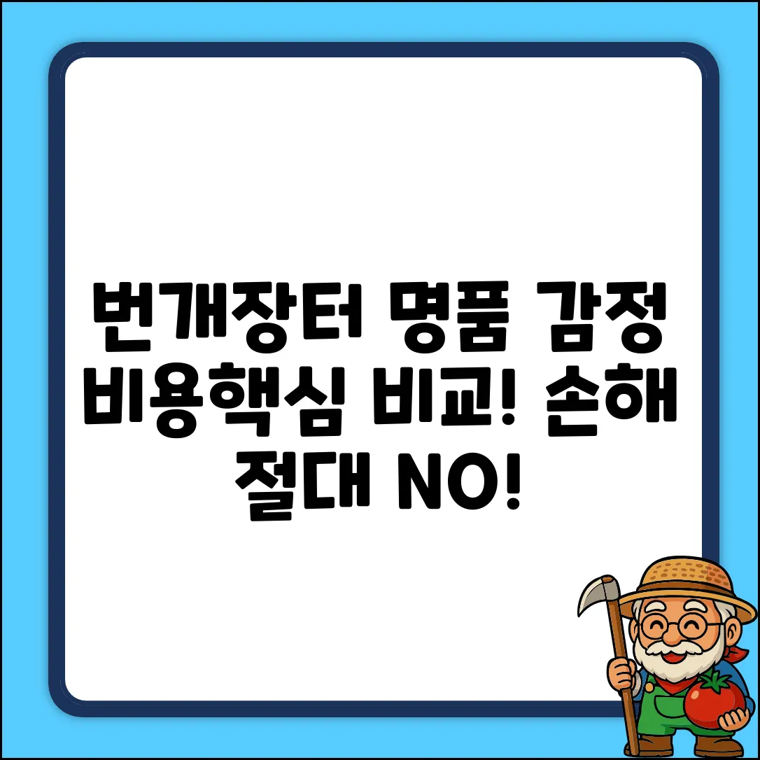 번개장터 명품 감정, 3가지 비용 핵심 비교!