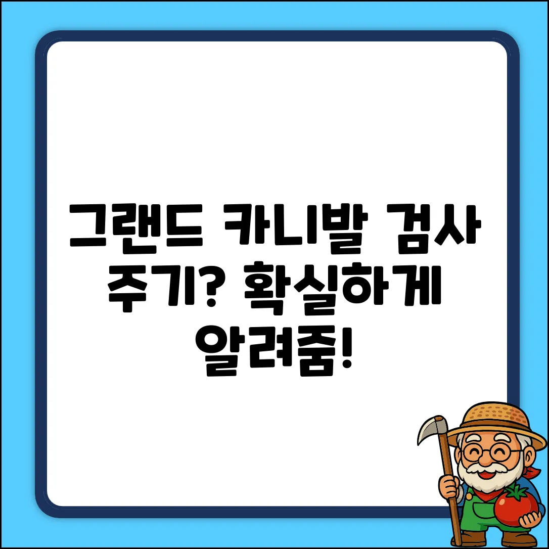 그랜드 카니발, 검사 주기가 궁금하세요?