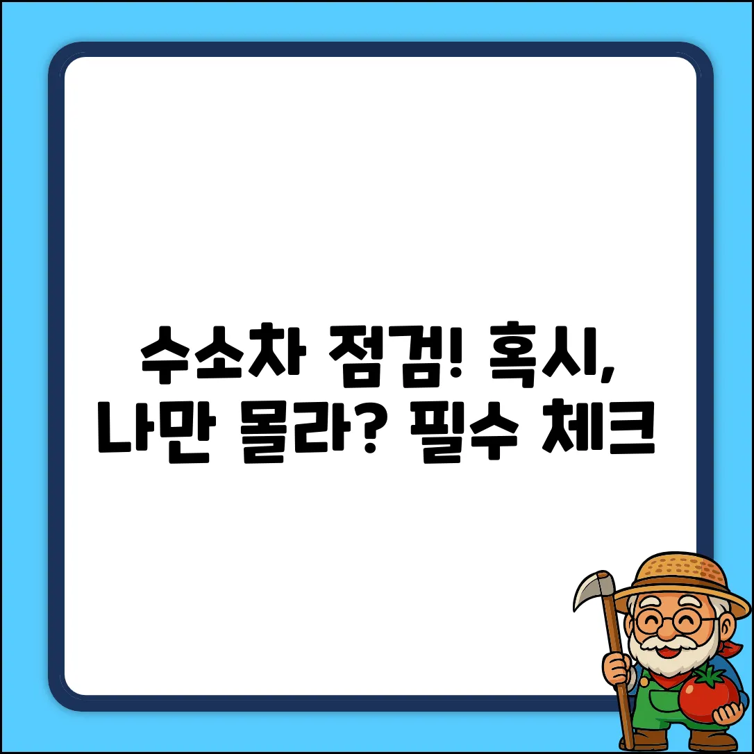 수소자동차 점검, 혹시 놓치는 항목 있나요?