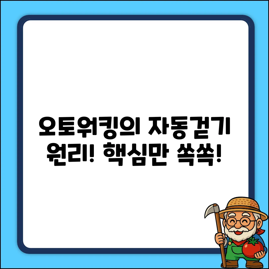 오토워킹 자동걷기, 그 놀라운 구성 원리!