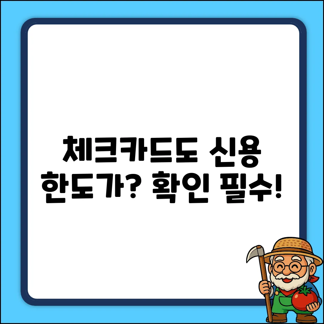 체크카드 신용 한도, 진짜 늘릴 수 있을까?