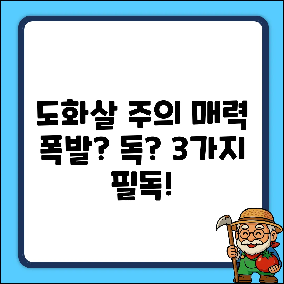 강렬한 도화살, 3가지 주의할 점🚨