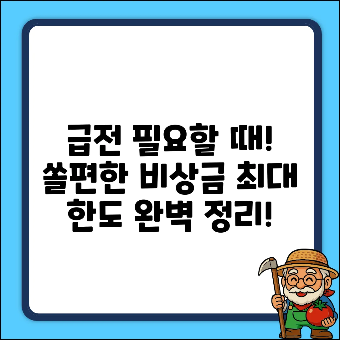 쏠편한 비상금대출, 최대 얼마까지? (한도 완벽 정리