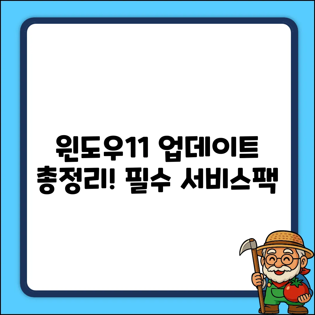 윈도우11 업데이트 서비스팩 완벽 가이드