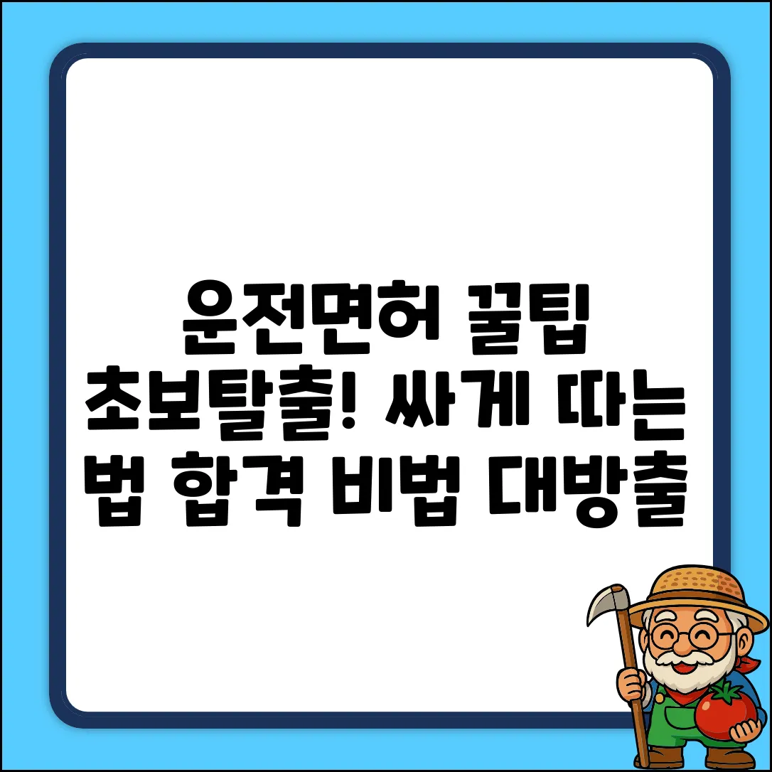 운전면허 싸게 따는 법: 초보 탈출 비법!