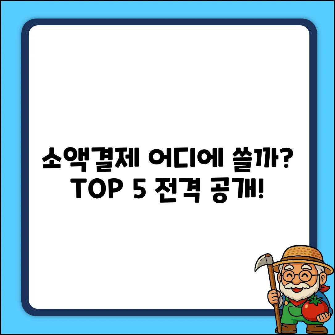 소액결제 사용처 TOP 5: 어디서 쓸까?