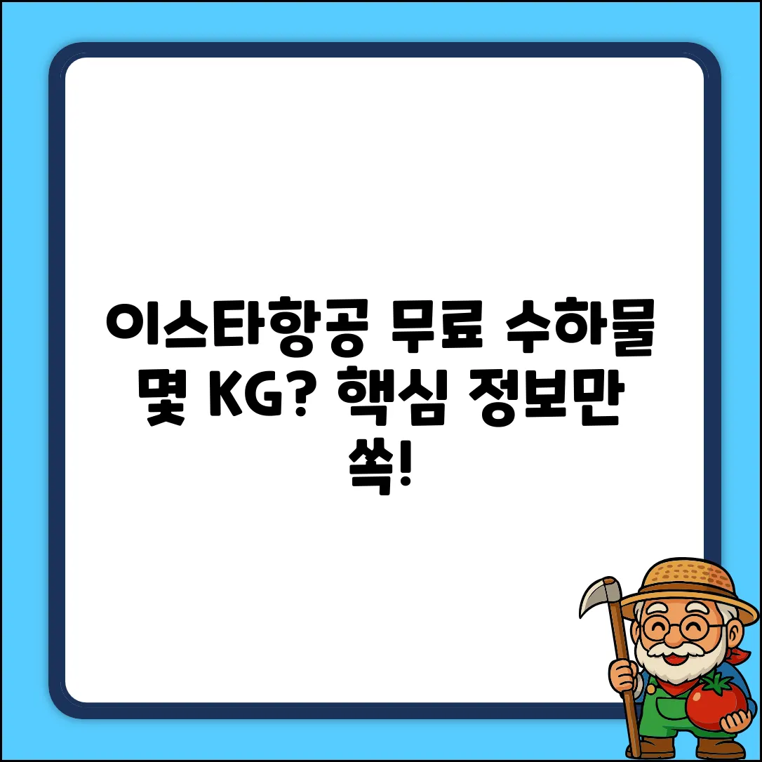 이스타항공, 1인 무료 위탁 수하물 몇 KG?