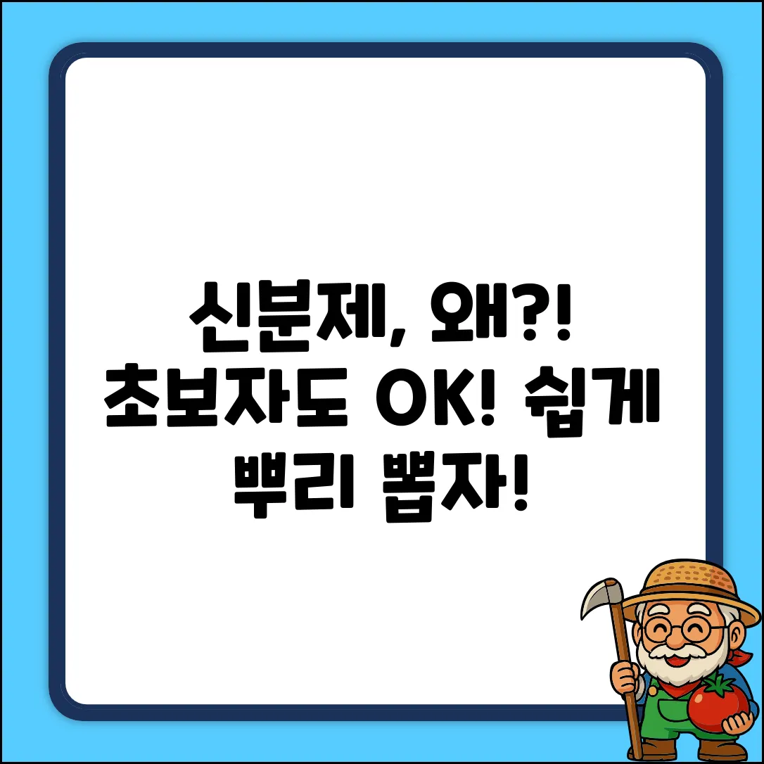 신분제도, 왜 생겼을까? 초보자도 쉽게!