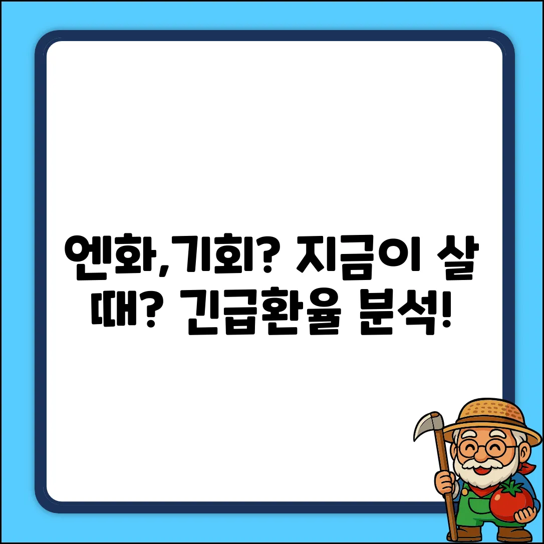 일본 환율, 지금이 기회일까?