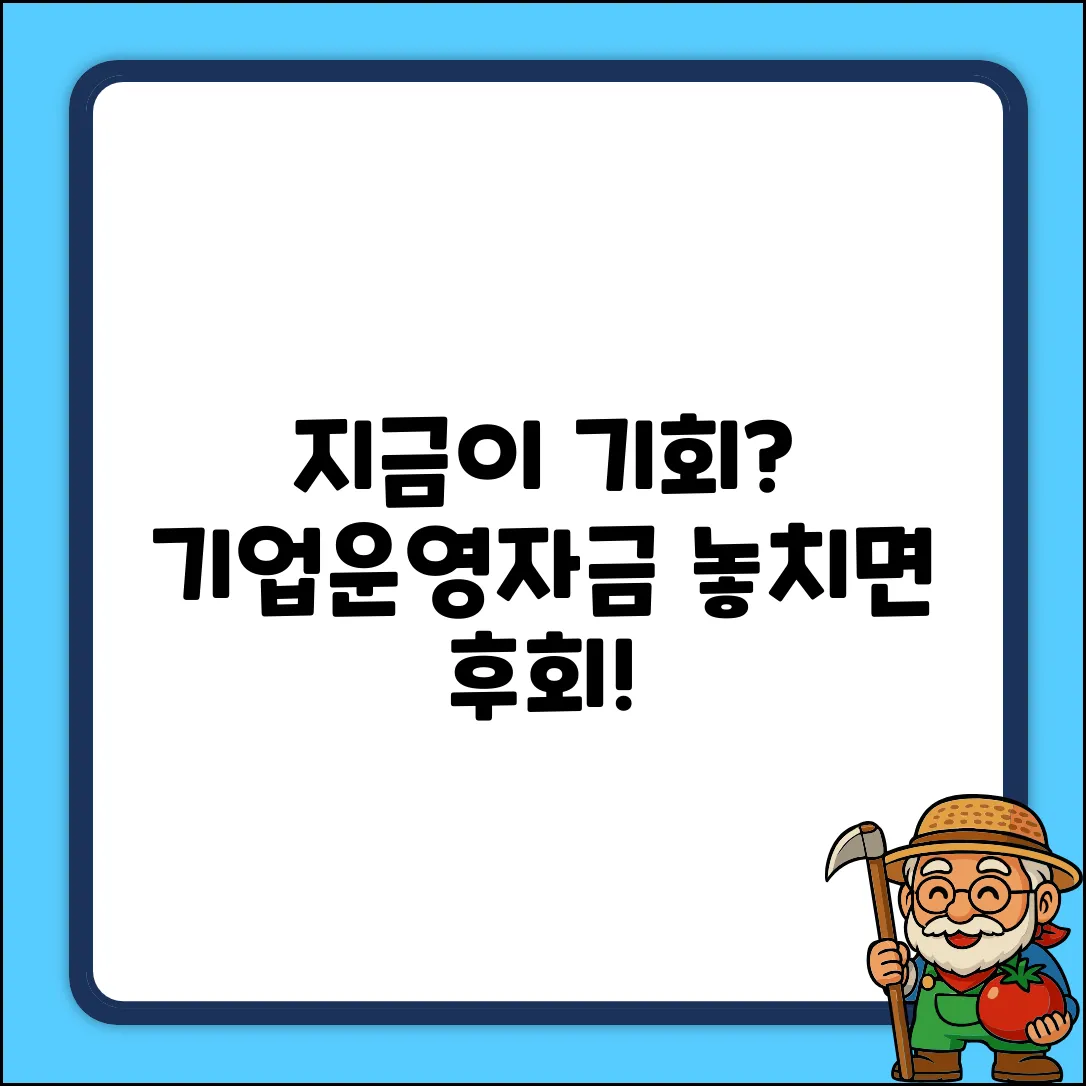 기업운영자금대출, 지금이 기회일까?