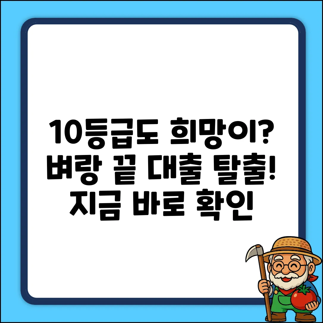 10등급 대출, 혹시 희망 있을까요?