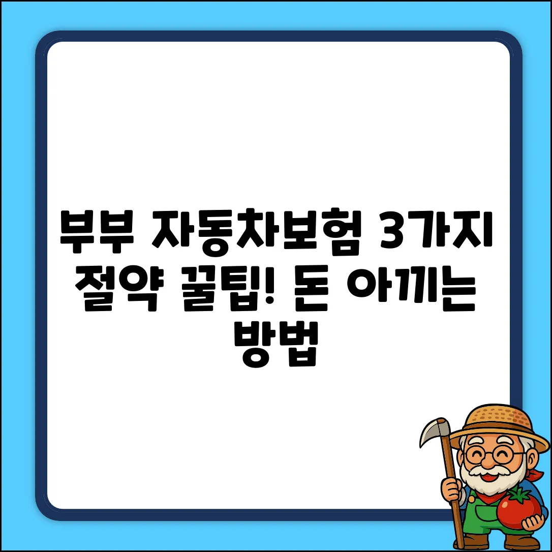 부부한정 자동차보험, 3가지 절약꿀팁!