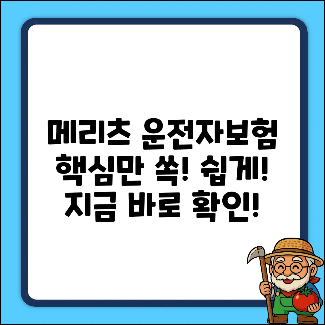 메리츠 운전자보험, 누구나 쉽게! 핵심만 쏙쏙